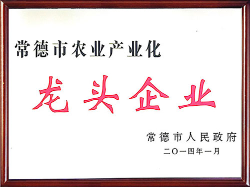 荣誉资质2 荣誉资质2