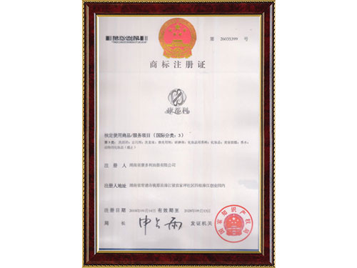 荣誉资质16 荣誉资质16